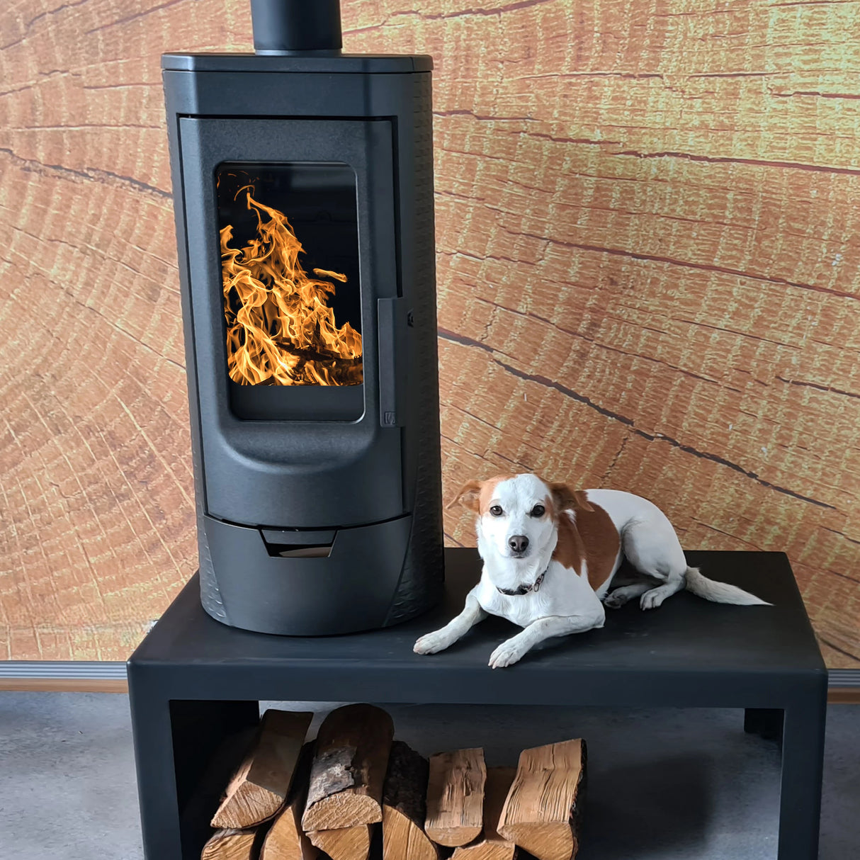 Dizajnový liatinový krb Plamen Tara – nezávislý na vzduchu v miestnosti